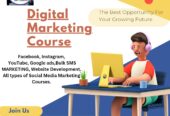 Digital Marketing Skills Development Course