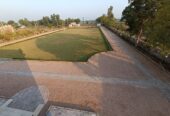 kota marriage garden lawn in kota umedbagh shaadi garden kota city 324005