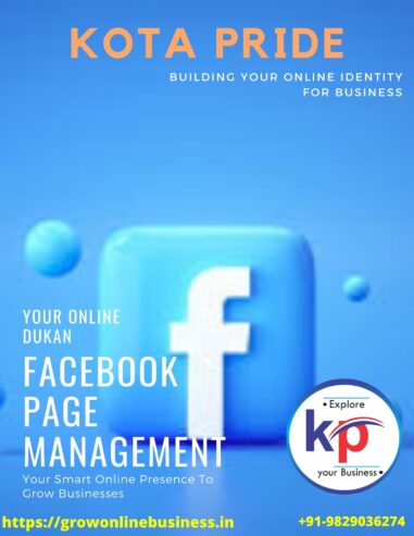 Facebook Page Management In India