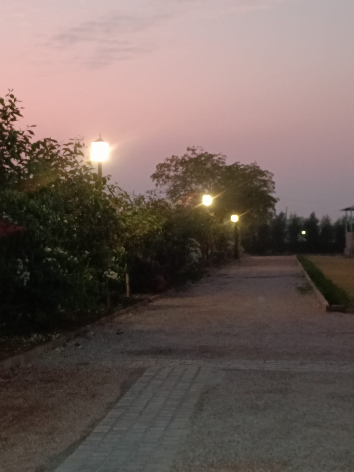 Kota’s Best Marriage Program Garden