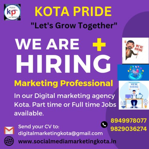 Jobs For Digital Marketing Skills Training Center and Digital Marketing Agencyin Kota