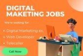 Job Hiring For Digital Marketer