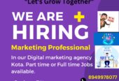 Job Hiring For Digital Marketer