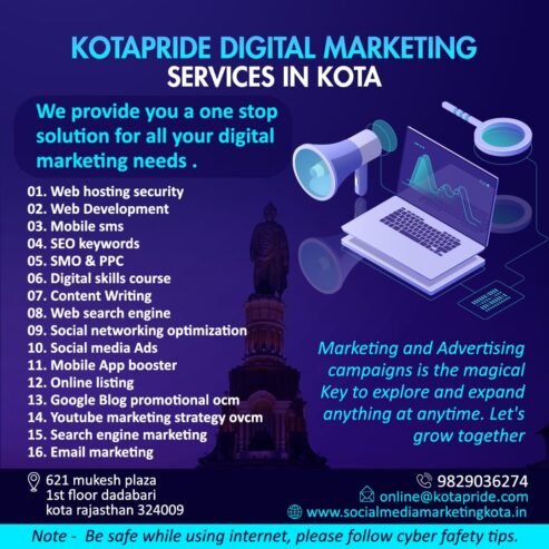 Professional Websites And Hosting Services In Kota
